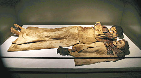 展品包括多副古代骸骨。