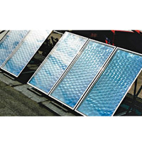 白金漢宮將安裝太陽能板發電。（資料圖片）