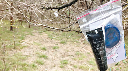 公園樹上掛上一袋安全套和潤滑劑。（互聯網圖片）