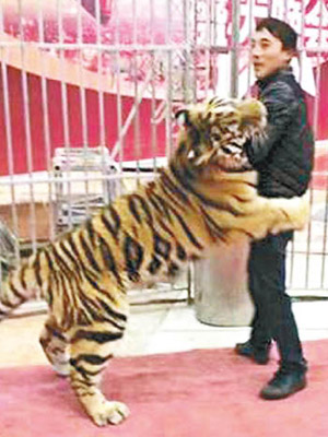 馬戲團團主李榮慶涉非法運輸瀕危野生動物被判囚十年。（互聯網圖片）