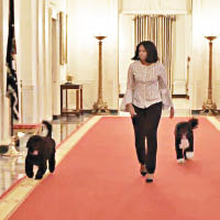 米歇爾帶愛犬走遍白宮。（白宮圖片）