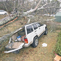 密西西比州<br>龍捲風吹倒樹木壓毀汽車。