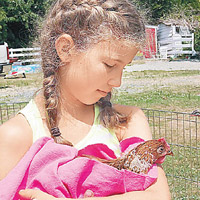 路易絲為兒童提供動物治療。（Sali圖片）