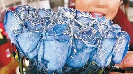 名為「藍色妖姬」的藍色玫瑰近年在內地銷量甚佳。（互聯網圖片）