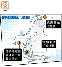 信號傳輸示意圖