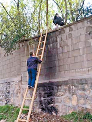 有村民搭梯幫遊客逃票翻牆入園。（互聯網圖片）