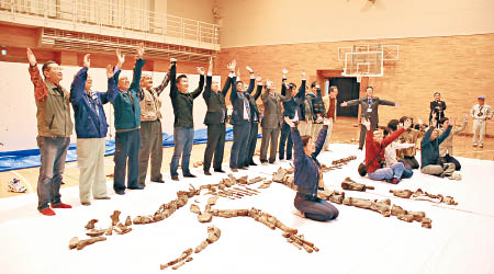研究人員高舉雙手與恐龍骨合照。（日本穗別博物館圖片）