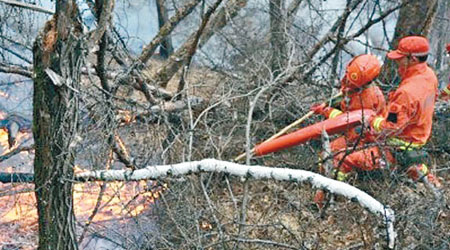消防員合力撲救山火。（互聯網圖片）
