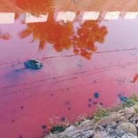 有民眾拍下排水渠被染紅的照片。（中時電子報圖片）