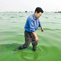 漁民要在受污染的海水中捕魚。