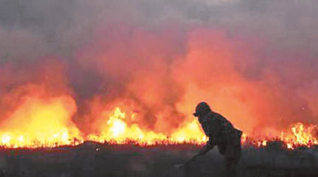 大火蔓延至呼倫貝爾中蒙邊境地區。（互聯網圖片）