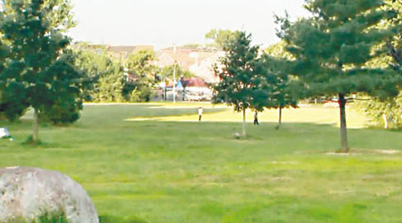 一名華裔少女在公園內被一名非裔男子強姦。（電視畫面）