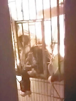 女子被困窗口防盜鐵籠，不斷掙扎呼救。（互聯網圖片）