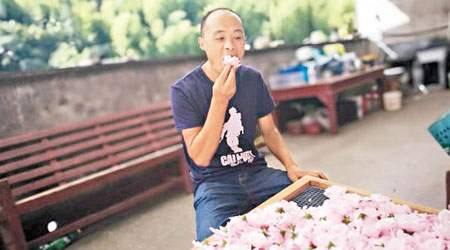 鍾武從小便愛吃木槿花。（互聯網圖片）
