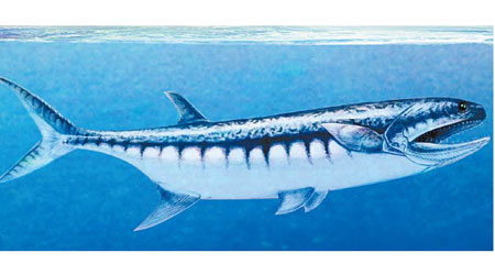這種巨型海洋捕食者的外貌相信與鯊魚相似。