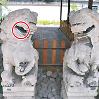 石獅的牙被拗斷，口中石球被盜（紅圈示）。（互聯網圖片）
