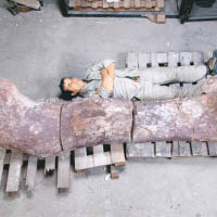 巴塔哥尼亞泰坦龍的骨骼化石異常巨大。（資料圖片）
