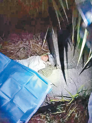 女嬰被遺棄在草叢內。（互聯網圖片）