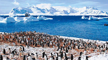 周男夢想到南北極旅行。圖為南極風景照。（互聯網圖片）