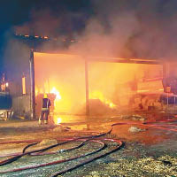 英國威爾特郡一個豬場，早前發生火災。