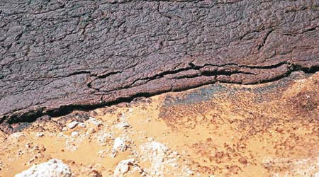 騰格里沙漠受企業排污影響致嚴重污染。（資料圖片）