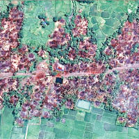 人權觀察組織日前發布衞星圖片，顯示有羅興亞村莊被焚。（互聯網圖片）