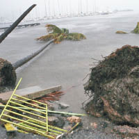 波多黎各樹木倒塌，遍地雜物。