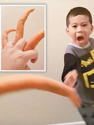 「蘿蔔爪子」的出現（小圖）令男童不斷尖叫。（互聯網圖片）