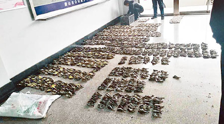 唐山警方周一查獲大批野鳥屍體。