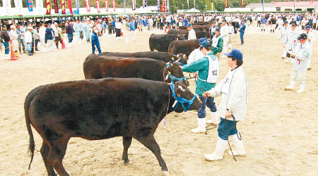 神戶牛需由指定兵庫縣農家培育。