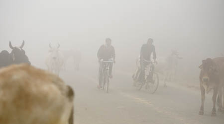 新德里被煙霧籠罩。（美聯社圖片）