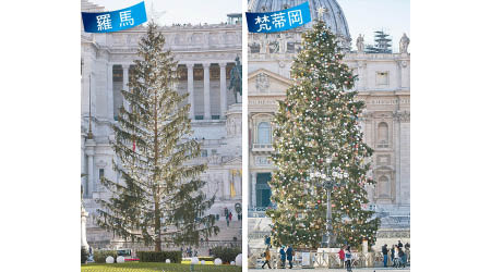 掉落針葉的羅馬聖誕樹（左）令節日氣氛盡失，反觀梵蒂岡的聖誕樹（右）看來很健康。（美聯社圖片）