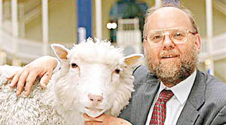 全球首隻複製羊「多莉」在蘇格蘭誕生。（資料圖片）
