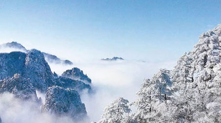 安徽黃山被白雪覆蓋，樹上掛滿雪花雪柱，美如一幅畫。（互聯網圖片）