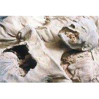 圖坦卡門之母娜芙蒂蒂的木乃伊嚴重受損。