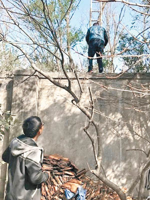 不少遊客為省錢而爬梯翻牆逃票。（互聯網圖片）