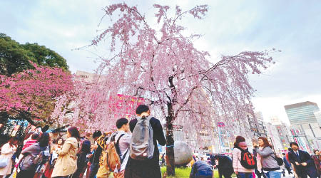 日本是近年中國遊客的熱門旅遊地方。