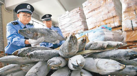 廣州海關緝獲大量三文魚。（中新社圖片）