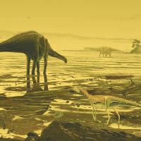 考古團隊發現長頸龍近親的腳印。（資料圖片）