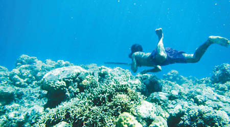印尼巴瑤族人擅於潛水。（資料圖片）