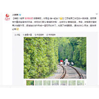人民網等官媒的微博推介「愛情隧道」。（互聯網圖片）