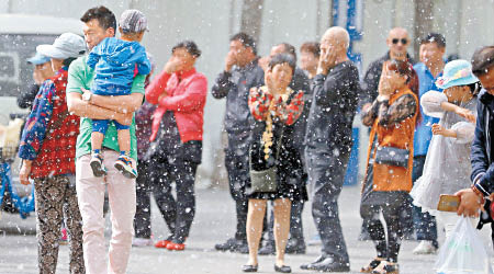 北京街頭楊柳絮飛舞，民眾紛紛掩面免吸入。（中新社圖片）