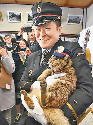 Nya早前就任豐後竹田站的貓站長。（互聯網圖片）