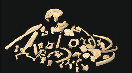 該批人類骸骨在西班牙發現。（互聯網圖片）
