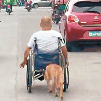 迪貢以狗鼻為主人推輪椅一幕，令人感動。（互聯網圖片）