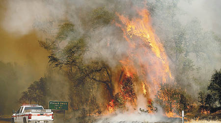 火場大片森林被焚毀。（美聯社圖片）