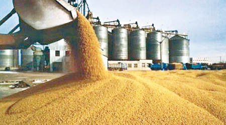 中國大豆進口量有望減少一千萬噸。（互聯網圖片）