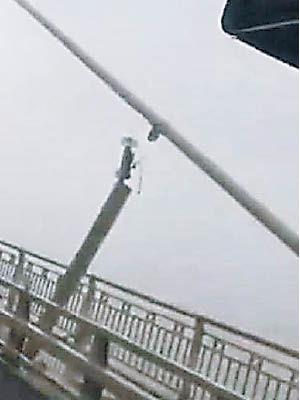 網民拍攝照片，指蘇通大橋疑似斷拉索。