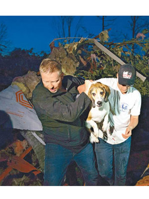 救援人員從瓦礫上救出一隻寵物犬。（美聯社圖片）