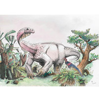 過渡性恐龍的前肢十分靈活。